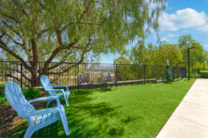 large tree providing shade over fenced in grass area and 2 blue lounge chairs